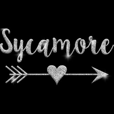 GLT46 SILVER GLITTER Thumbnail